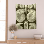 Naturalist Ammonites Wall Tapestry Gallery Image 2