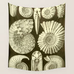 Naturalist Ammonites Wall Tapestry Gallery Image 4