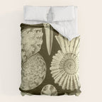 Naturalist Ammonites Duvet Cover Gallery Image 6