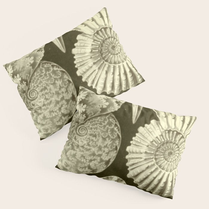 Naturalist Ammonites Pillow Sham Gallery Image 1