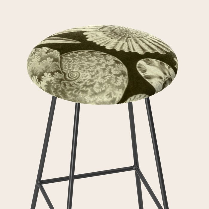Naturalist Ammonites Stool Gallery Image 2
