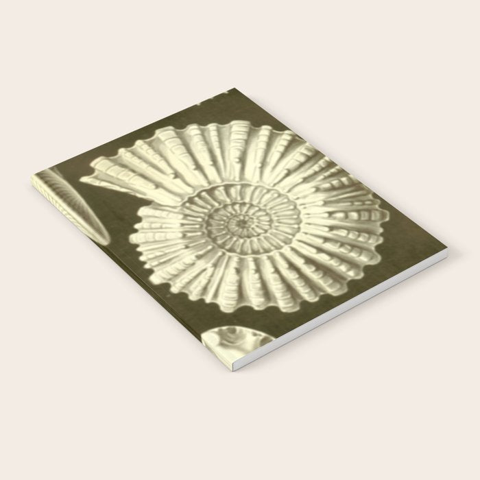 Naturalist Ammonites Notebook Gallery Image 2