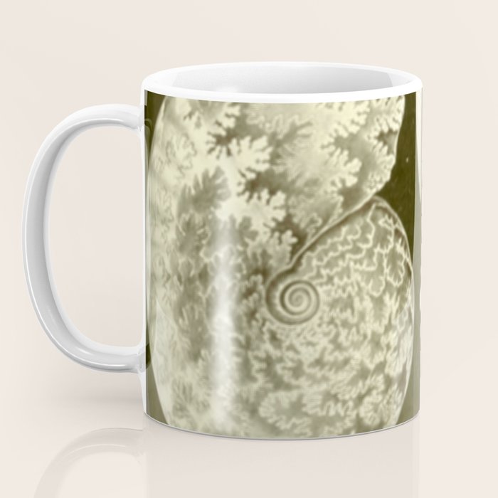Naturalist Ammonites Coffee Mug Gallery Image 3