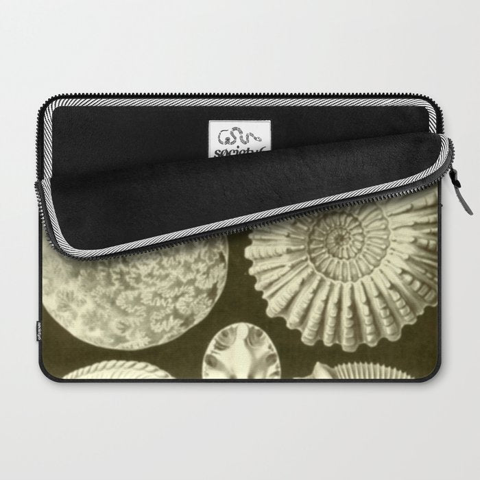 Naturalist Ammonites Laptop Sleeve Gallery Image 2