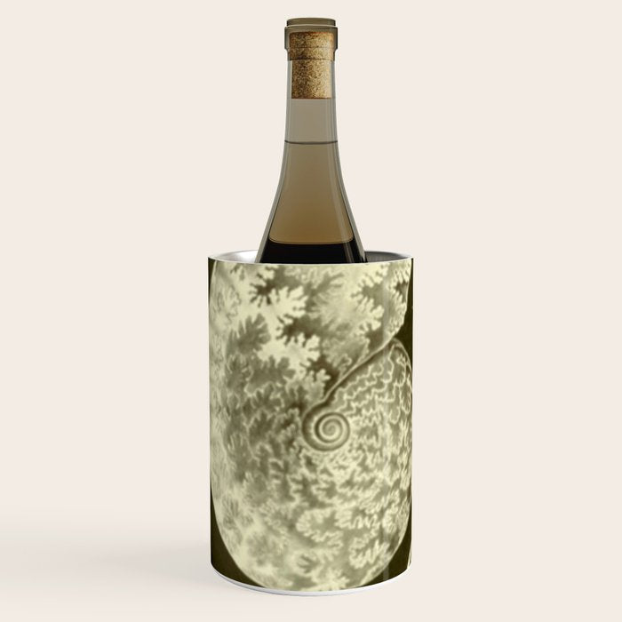 Naturalist Ammonites Wine Chiller Gallery Image 2