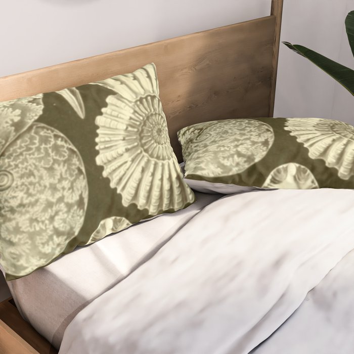 Naturalist Ammonites Pillow Sham Gallery Image 2