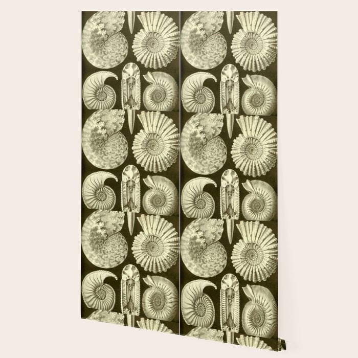 Naturalist Ammonites Wallpaper Gallery Image 2