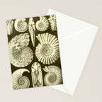 Naturalist Ammonites Stationery Card Gallery Image 2
