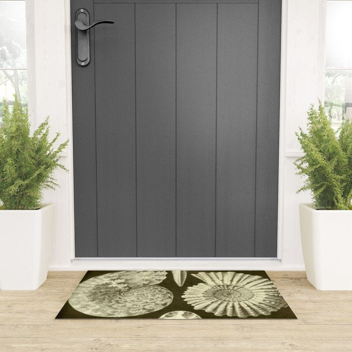 Naturalist Ammonites Welcome Mat Gallery Image 3