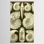 Naturalist Ammonites Tablecloth Gallery Image 2