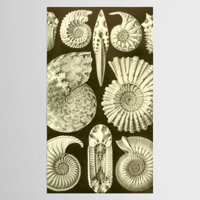Naturalist Ammonites Tablecloth Gallery Image 2