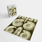 Naturalist Ammonites Jigsaw Puzzle Gallery Image 2
