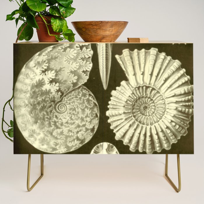 Naturalist Ammonites Credenza Gallery Image 1