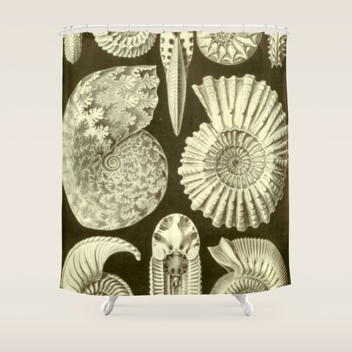 Naturalist Ammonites Shower Curtain Gallery Image 1
