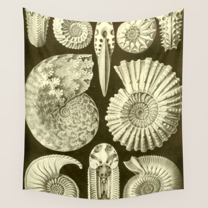 Naturalist Ammonites Wall Tapestry Gallery Image 1