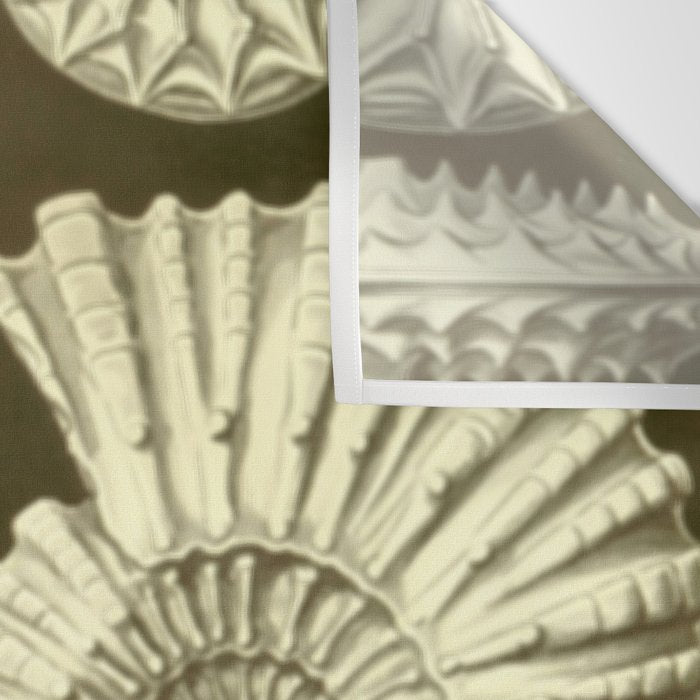 Naturalist Ammonites Wall Tapestry Gallery Image 3