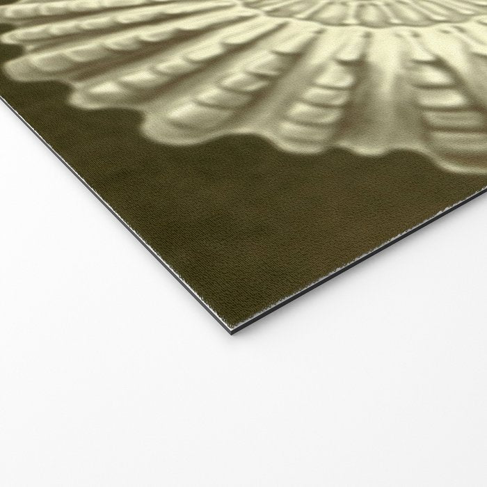 Naturalist Ammonites Welcome Mat Gallery Image 2