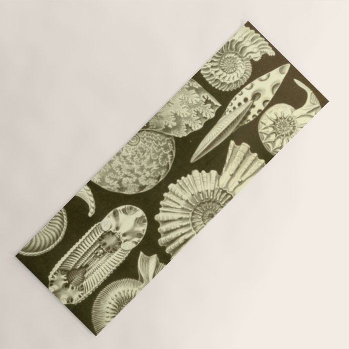 Naturalist Ammonites Yoga Mat Gallery Image 1