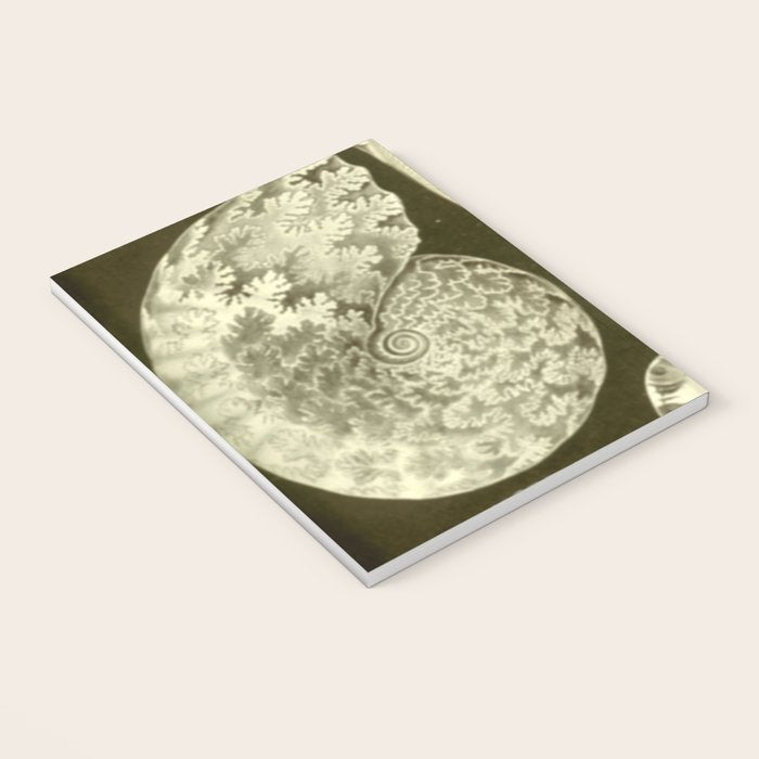 Naturalist Ammonites Notebook Gallery Image 3