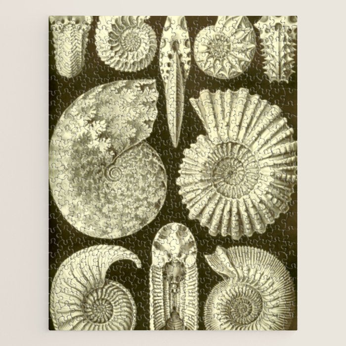 Naturalist Ammonites Jigsaw Puzzle Gallery Image 1