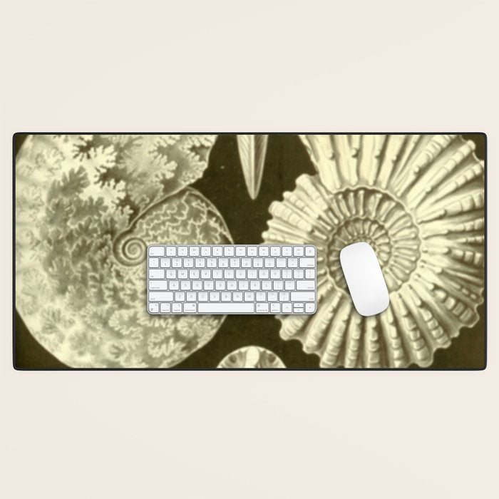 Naturalist Ammonites Desk Mat Gallery Image 1