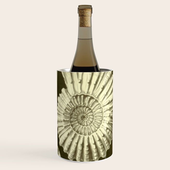 Naturalist Ammonites Wine Chiller Gallery Image 3