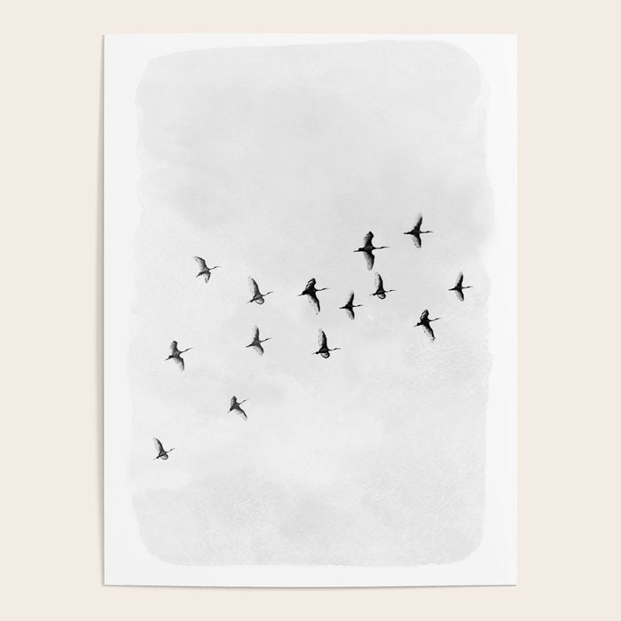 Flock of Birds Poster Gallery Image 1
