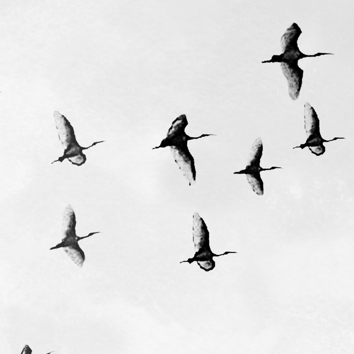Flock of Birds Coffee Mug Gallery Image 2