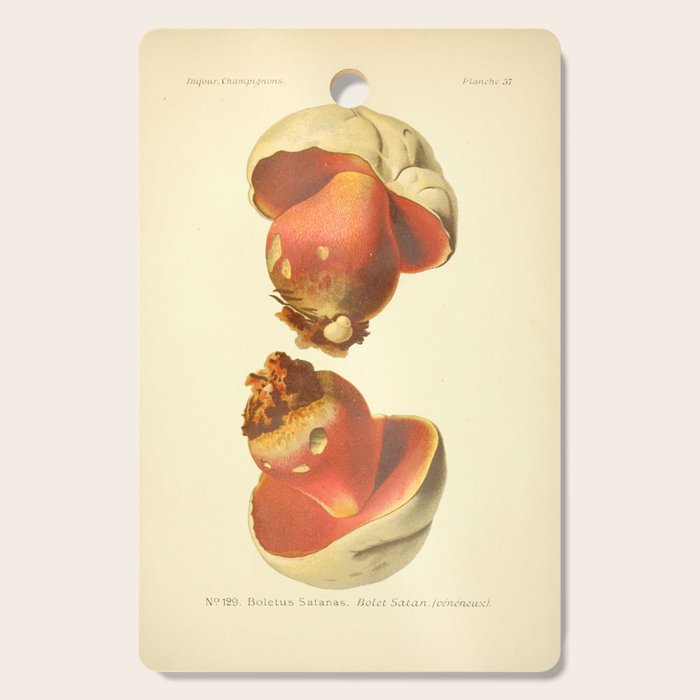 Devil's bolete mushroom (Rubroboletus satanas) from from "Atlas des Champignons Comestibles et Vénéneux," 1891. Cutting Board Gallery Image 1