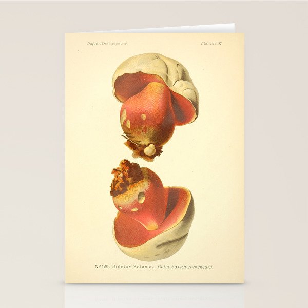 Devil's bolete mushroom (Rubroboletus satanas) from from "Atlas des Champignons Comestibles et Vénéneux," 1891. Stationery Card Gallery Image 2