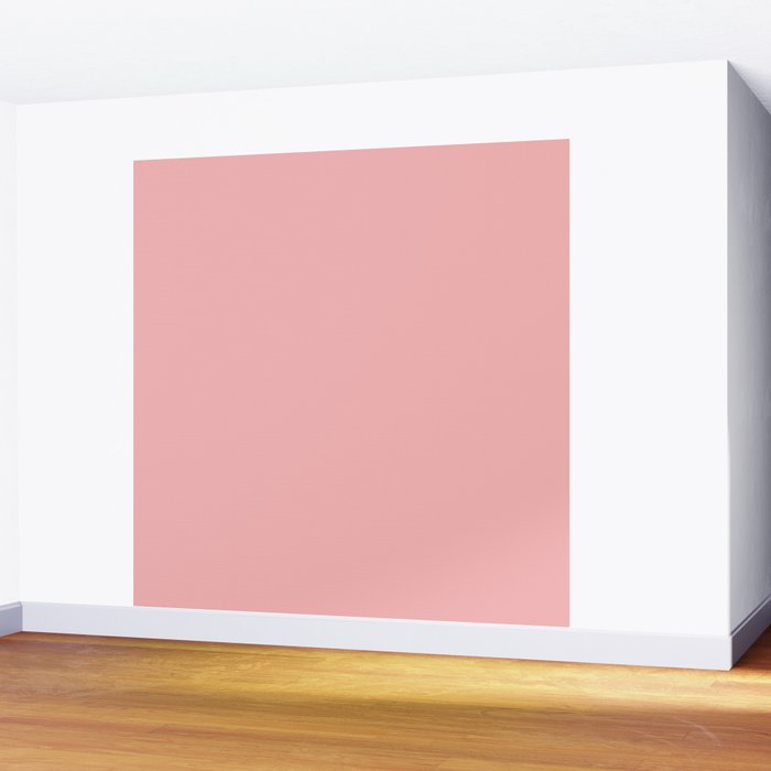 Blush Pink Solid for Pink and Orange Collection Wall Mural Gallery Image 2