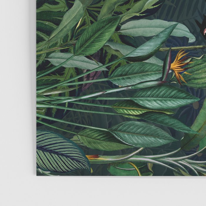 Midnight rainforest I Poster Gallery Image 3
