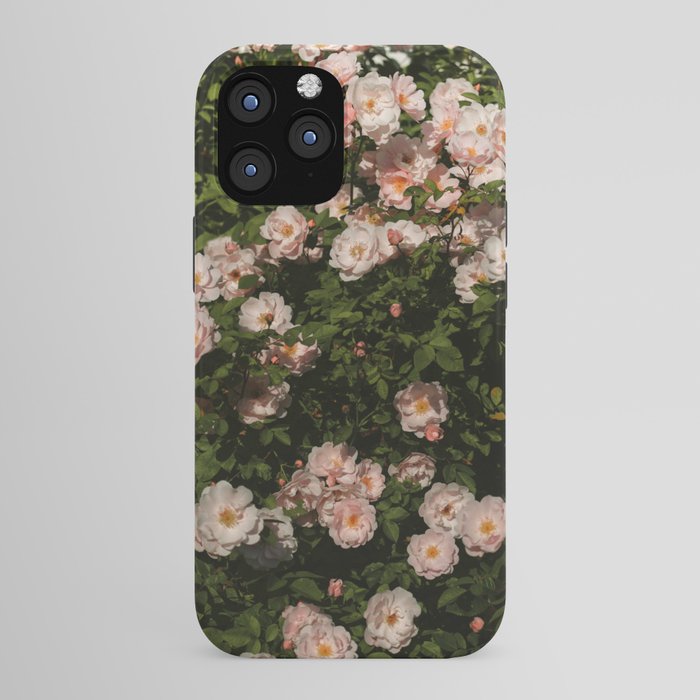The Heart Of The Summer #3 iPhone Case Gallery Image 43