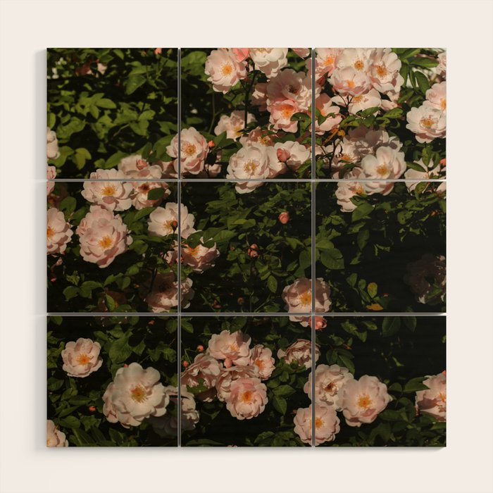 The Heart Of The Summer #3 Wood Wall Art Gallery Image 1