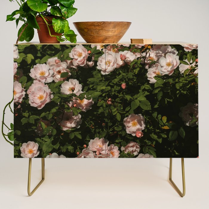 The Heart Of The Summer #3 Credenza Gallery Image 1