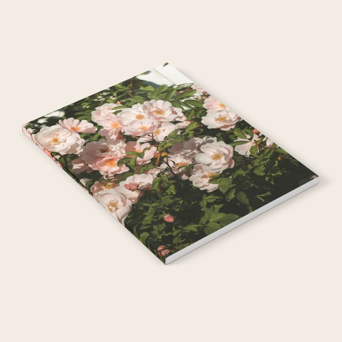 The Heart Of The Summer #3 Notebook Gallery Image 1