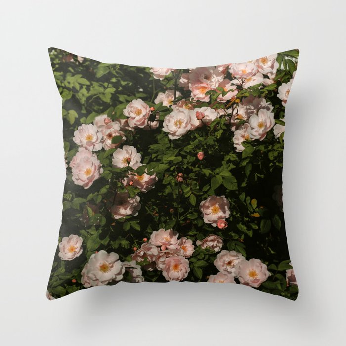 The Heart Of The Summer #3 Throw Pillow Gallery Image 1