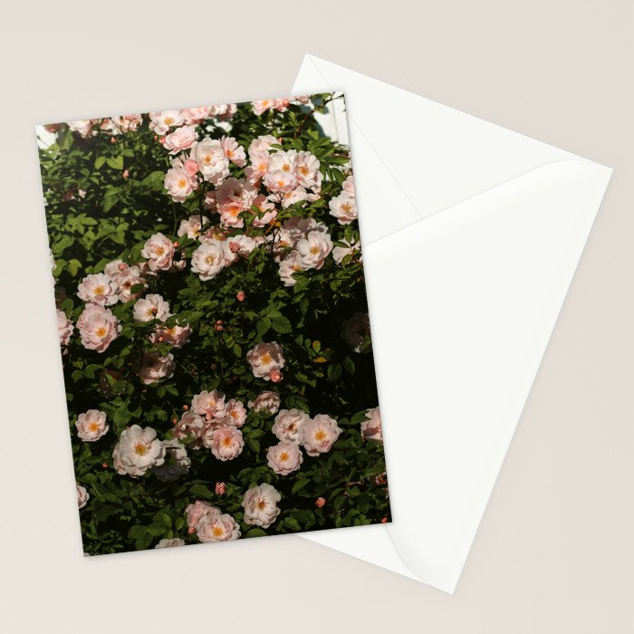 The Heart Of The Summer #3 Stationery Card Gallery Image 2