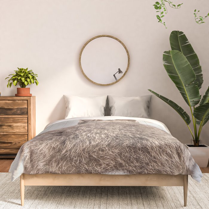 Rabbit Tail - Colorful Comforter Gallery Image 3