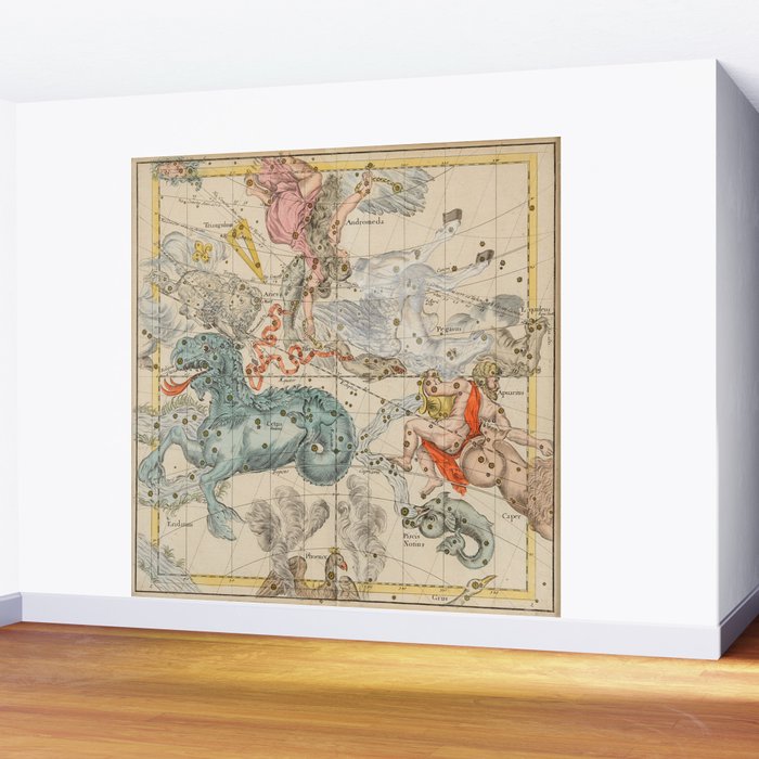 Vintage Celestial & Astrological Map  (1693) Wall Mural Gallery Image 2