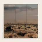 Early Morning in California Wood Wall Art Gallery Image 1