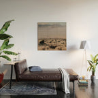 Early Morning in California Wood Wall Art Gallery Image 2