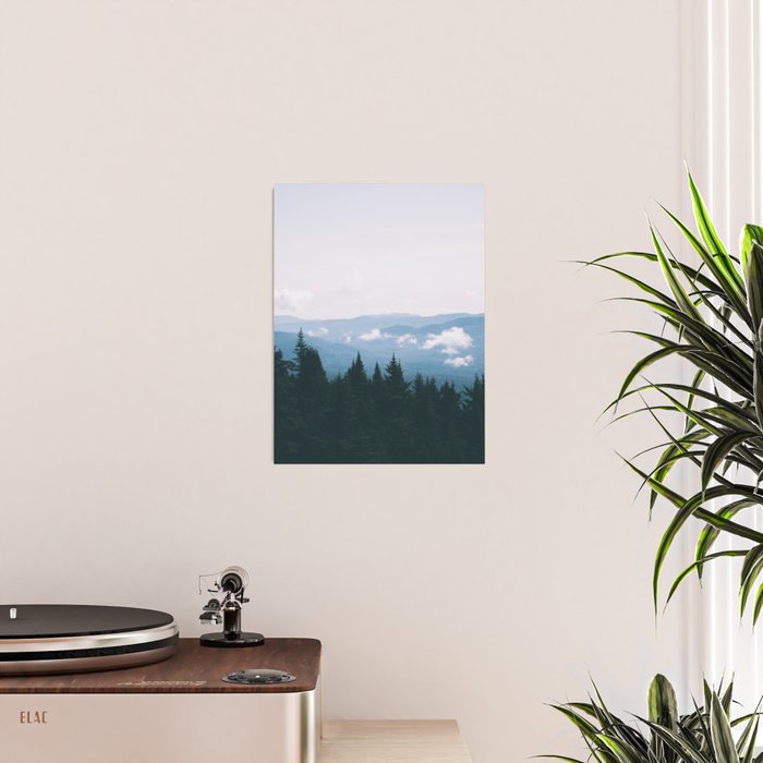 Forest VII Poster Gallery Image 2