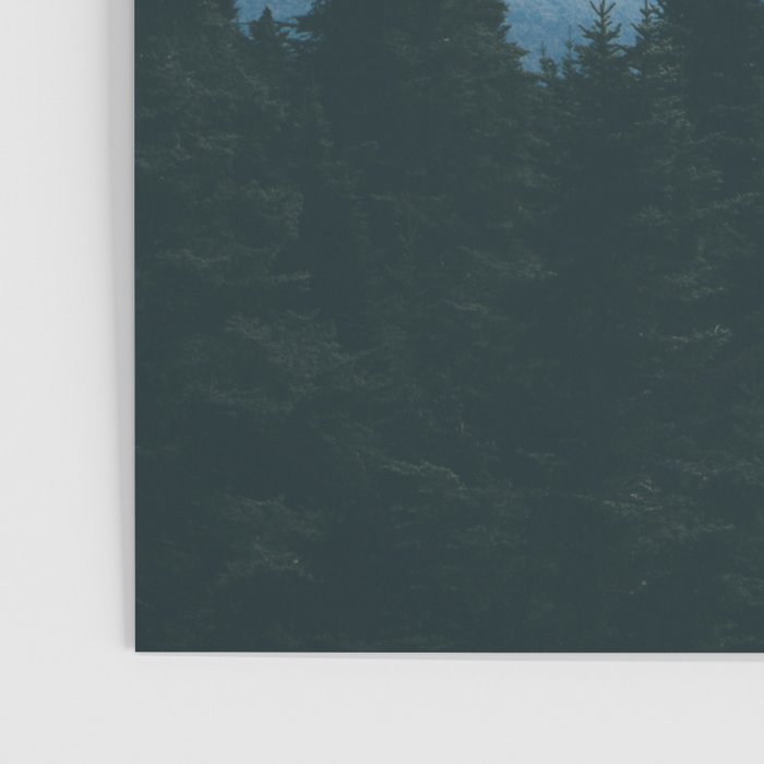 Forest VII Poster Gallery Image 3