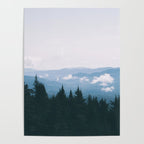 Forest VII Poster Gallery Image 4