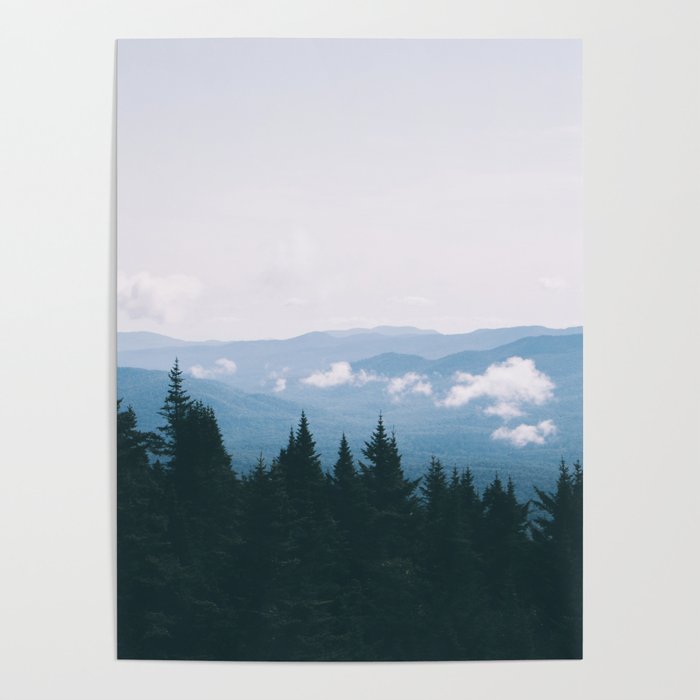 Forest VII Poster Gallery Image 4