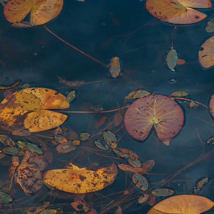 Autumn Moment - Landscape and Nature Photography Coffee Mug Gallery Image 2
