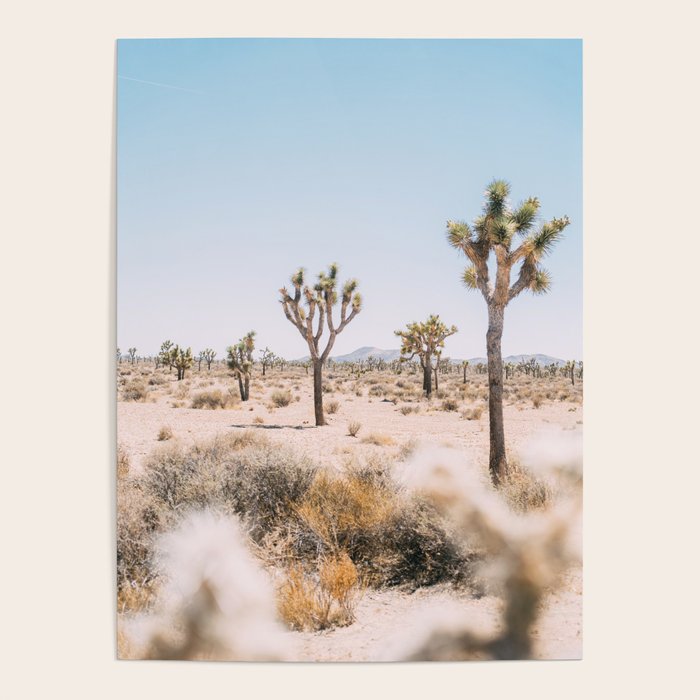 Joshua Tree National Park - California Boho Desert Photo in Neutral Poster