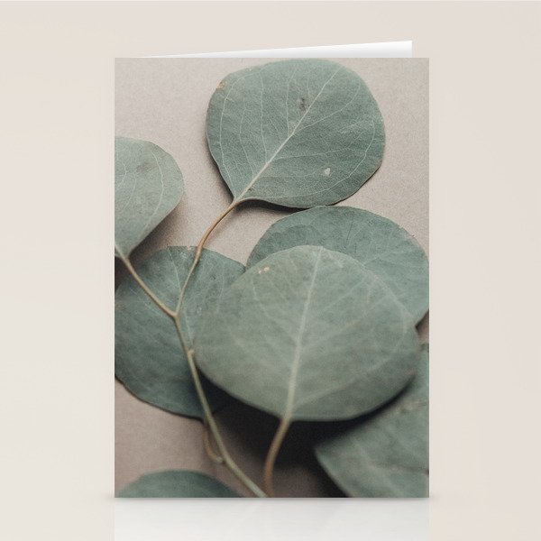 Eucalyptus x botanical leaf photograph green houseplant Stationery Card Gallery Image 2