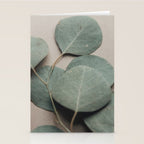 Eucalyptus x botanical leaf photograph green houseplant Stationery Card Gallery Image 2